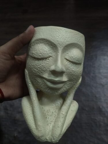 Poly Resin Human Face Planter with Succulent Pot, photo review