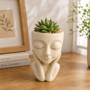 Poly Resin Human Face Planter with Succulent Pot,